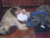 angelina-w-bryna-and-bear.jpg