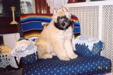 Mahla-at-home.jpg