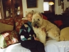 Boo-with-Mom.jpg