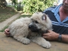 Huss-100707-3.jpg