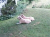 Hussi&Lola.jpg
