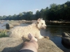 Hussi-river-leg.jpg