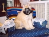 Mahla-at-home.jpg