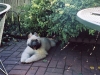 Mahla-relaxing.jpg