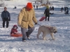 hussi-sledding