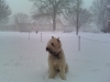 hussi-snow-0110