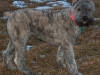 egor-the-big-boy.jpg