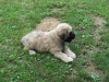 George