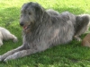 eddie-and-friends