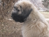 2011-03-05-ocho