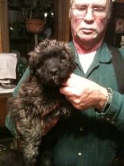 twinky-2-013112