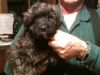 twinky-2-013112