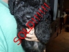 minicooper7wks-sold