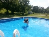 Otie-Surfing