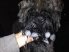 louis-playing-with-ice-cubes