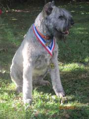 Egor-CGC