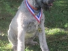 Egor-CGC