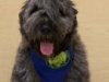 jethro-cgc