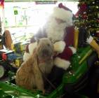 lola-with-santa
