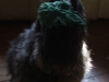 belle-ky-derby-hat.jpg