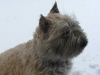 windy-out