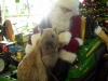 lola-with-santa