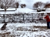 photo-2