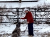photo-3