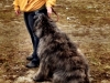 photo-5