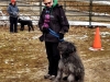 photo-7